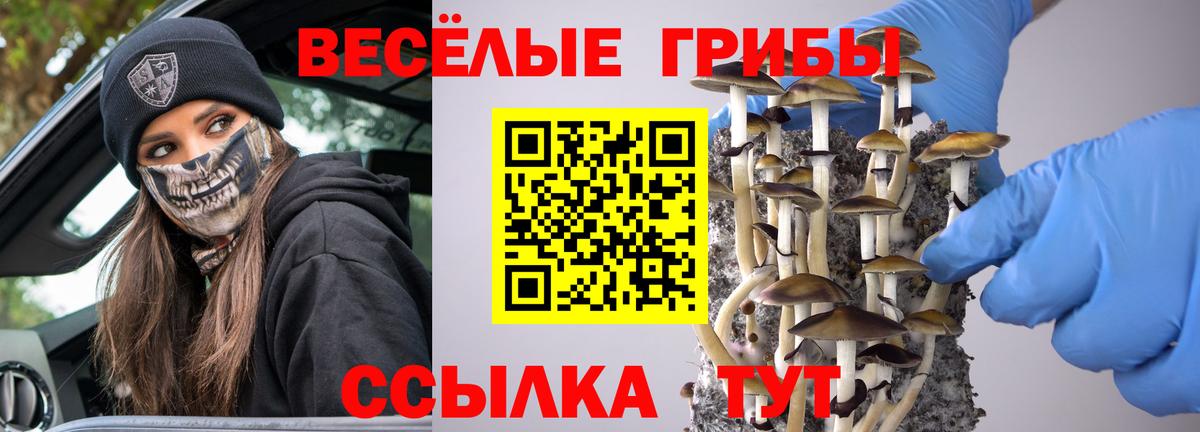 Псилоцибиновые грибы Magic Shrooms  Вход с VPN  Галлюциногенные грибы мицелий  Губаха 